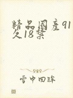 精品国产91久久18禁