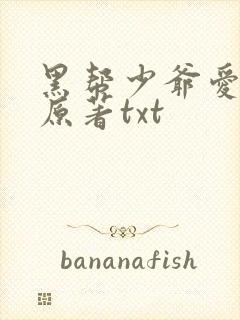 黑帮少爷爱上我原著txt封面