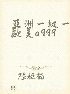 亚洲一级一内射欧美a999封面