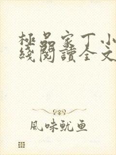 极品家丁小说在线阅读全文封面