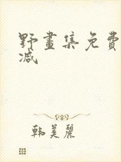 野画集免费未删减封面