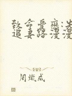 致命爱恋:先生追妻路漫漫