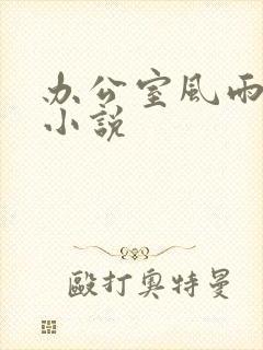 办公室风雨完整小说封面