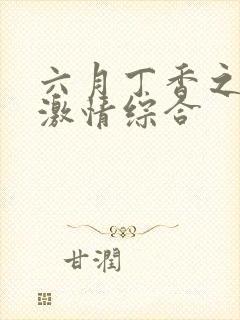 六月丁香之婷婷激情综合