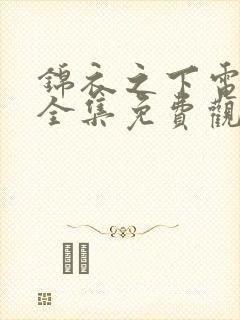 锦衣之下电视剧全集免费观看高清