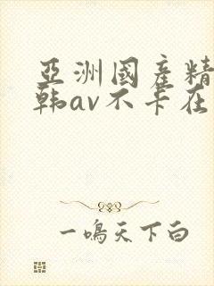 亚洲国产精品日韩av不卡在线封面