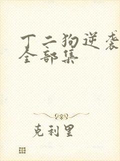 丁二狗逆袭人生全部集