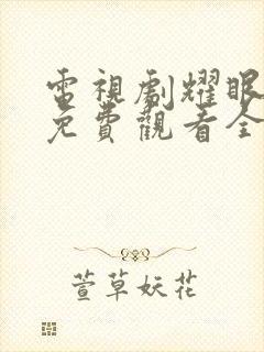 电视剧耀眼的你免费观看全集高清封面