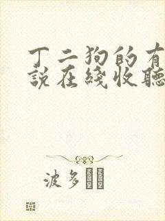 丁二狗的有声小说在线收听