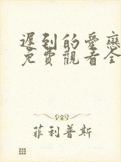 迟到的爱恋短剧免费观看全集高清