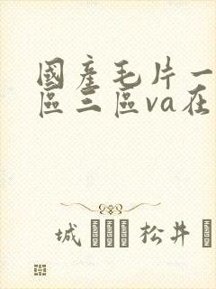 国产毛片一区二区三区va在线