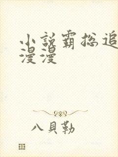 小说霸总追妻路漫漫