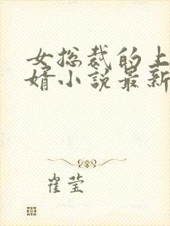 女总裁的上门女婿小说最新章节封面