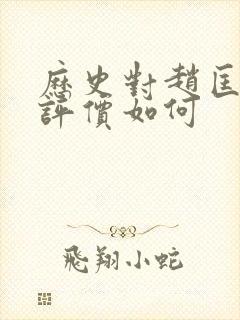 历史对赵匡胤的评价如何