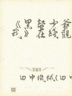 《黑帮少爷爱上我》在线观看