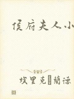 侯府夫人小说