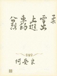 公车上雪柔被猛烈的进出