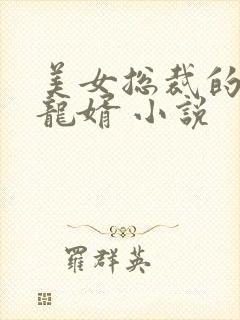 美女总裁的上门龙婿 小说封面