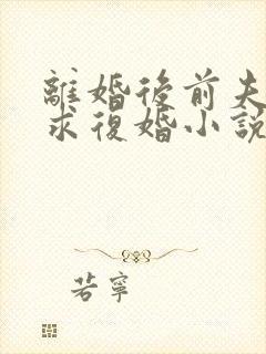 离婚后前夫哭着求复婚小说全部章节