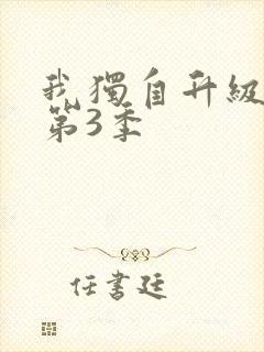 我独自升级动漫第3季