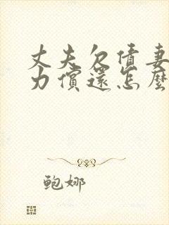 丈夫欠债妻子无力偿还怎么办封面