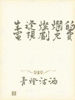 生逢灿烂的日子电视剧免费播放