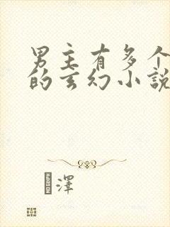 男主有多个老婆的玄幻小说