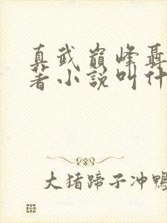 真武巅峰聂枫原著小说叫什么