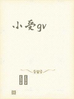 小受gv