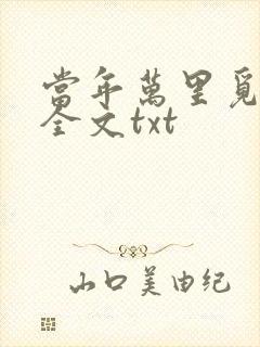 当年万里觅封侯全文txt