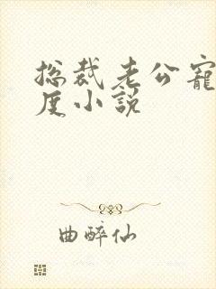 总裁老公宠妻无度小说