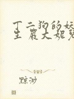 丁二狗的妖孽人生 严大妮儿 小说封面