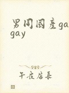 男同国产gaygay