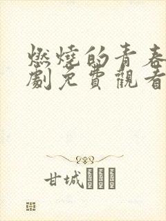 燃烧的青春电视剧免费观看全集