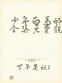 少年白马醉春风全集免费观看12集封面