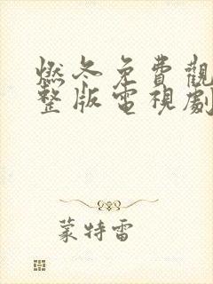 燃冬免费观看完整版电视剧全集