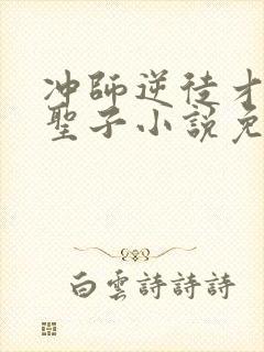 冲师逆徒才不是圣子小说免费观看封面