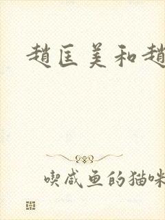 赵匡美和赵匡胤封面