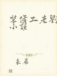 装修工老刘林雪小说