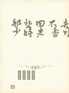 那些回不去的年少时光 番外