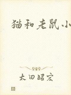 猫和老鼠小说