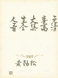 人生大事免费观看全集高清封面