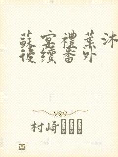 苏宴礼叶沐结局后续番外