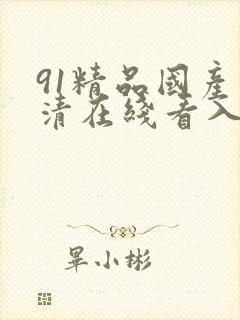 91精品国产高清在线看入口