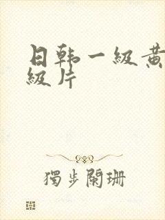 日韩一级黄色一级片