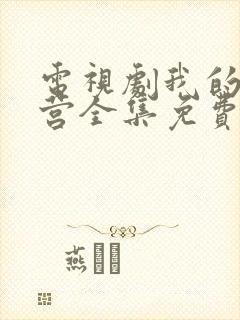 电视剧我的特一营全集免费观看