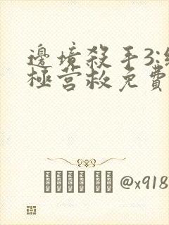 边境杀手3:终极营救免费观看完整版封面