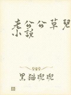 老公公草儿媳妇小说