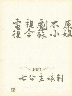 电视剧不原谅不复合苏小姐独美免费观看