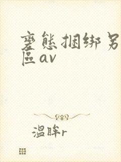 变态捆绑另类图区av封面